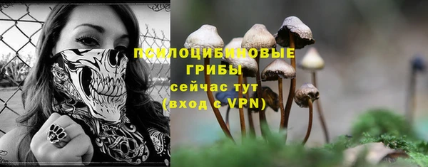гашик Покачи