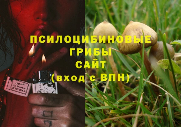СК Баксан